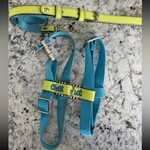 Henri Bendel influencer Dog Leash and Harness set